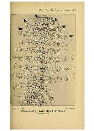 Seller image for Reproduccin/Reproduction 48683413368: Transactions of the Entomological Society of London. London,The Society. for sale by EL BOLETIN