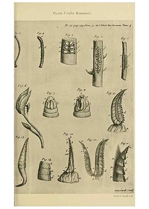 Seller image for Reproduccin/Reproduction 48683745956: Transactions of the Entomological Society of London. London,The Society. for sale by EL BOLETIN