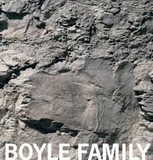 Seller image for Boyle Family. for sale by Antiquariat Heinzelmnnchen