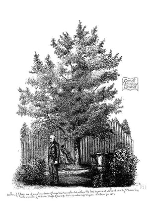 Seller image for Reproduccin/Reproduction 48637131211: The trees of America. Boston,W. White[1855-58]. for sale by EL BOLETIN