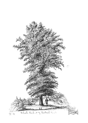 Seller image for Reproduccin/Reproduction 48637124166: The trees of America. Boston,W. White[1855-58]. for sale by EL BOLETIN