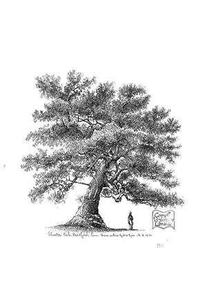 Seller image for Reproduccin/Reproduction 48637270512: The trees of America. Boston,W. White[1855-58]. for sale by EL BOLETIN