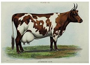 Seller image for Reproduccin/Reproduction 47383642352: Biggle cow book :. Philadelphia :W. Atkinson,1898, c1897. for sale by EL BOLETIN