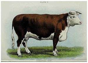 Seller image for Reproduccin/Reproduction 40470640883: Biggle cow book :. Philadelphia :W. Atkinson,1898, c1897. for sale by EL BOLETIN