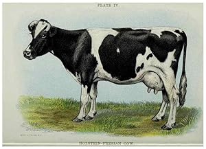 Seller image for Reproduccin/Reproduction 47436487901: Biggle cow book :. Philadelphia :W. Atkinson,1898, c1897. for sale by EL BOLETIN