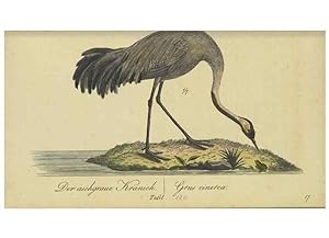 Seller image for Reproduccin/Reproduction 40889301313: Fauna Boica oder gemeinnu?tzige Naturgeschichte der Thiere Bayerns. Nu?rnberg :In der E.H. Zehschen Buchhandlung,1835. for sale by EL BOLETIN