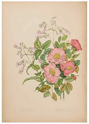 Seller image for Reproduccin/Reproduction 48307883027: Canadian wild flowers. Montre?al :J. Lovell,1868. for sale by EL BOLETIN