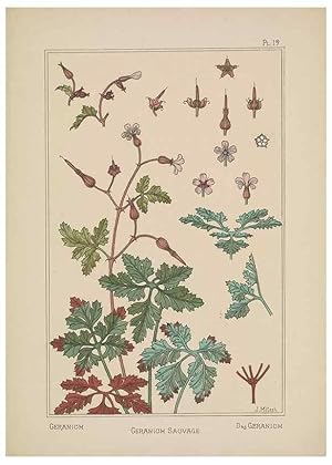 Seller image for Reproduccin/Reproduction 48308940716: La plante et ses applications ornementales /. Paris :Librairie Centrale des Beaux-Arts, E. Le?vy, e?diteur .[1896]. for sale by EL BOLETIN