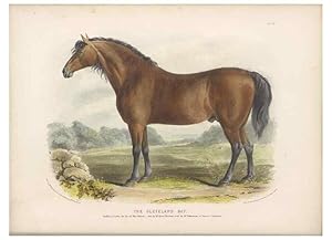 Image du vendeur pour Reproduccin/Reproduction 48230674602: The breeds of the domestic animals of the British Islands /. London, England :Longman, Orme, Brown, Green, and Longmans,1842. mis en vente par EL BOLETIN