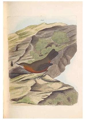 Seller image for Reproduccin/Reproduction 31554152277: A natural history of the birds of New South Wales collected, engraved, and faithfully painted after nature /. London :Printed for J.H. Bohte,1822. for sale by EL BOLETIN