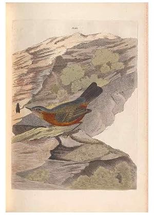 Seller image for Reproduccin/Reproduction 46494293971: A natural history of the birds of New South Wales collected, engraved, and faithfully painted after nature /. London :Printed for J.H. Bohte,1822. for sale by EL BOLETIN