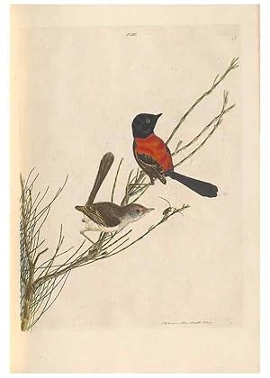 Seller image for Reproduccin/Reproduction 46442917932: A natural history of the birds of New South Wales collected, engraved, and faithfully painted after nature /. London :Printed for J.H. Bohte,1822. for sale by EL BOLETIN