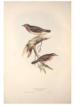 Bild des Verkufers fr Reproduccin/Reproduction 46052441094: The birds of Europe. London,Printed by R. and J.E. Taylor, pub. by the author,1837. zum Verkauf von EL BOLETIN