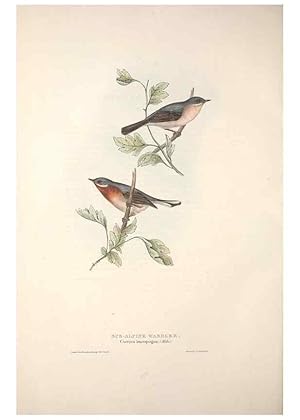 Bild des Verkufers fr Reproduccin/Reproduction 32901904958: The birds of Europe. London,Printed by R. and J.E. Taylor, pub. by the author,1837. zum Verkauf von EL BOLETIN