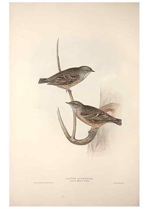 Bild des Verkufers fr Reproduccin/Reproduction 46052416604: The birds of Europe. London,Printed by R. and J.E. Taylor, pub. by the author,1837. zum Verkauf von EL BOLETIN