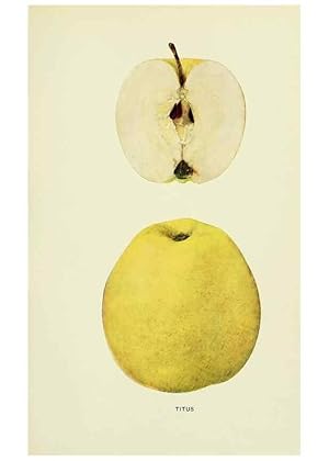 Immagine del venditore per Reproduccin/Reproduction 42460782811: The apples of New York,. Albany,J. B. Lyon Co., Printers,1905. venduto da EL BOLETIN