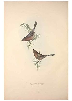Bild des Verkufers fr Reproduccin/Reproduction 46052456634: The birds of Europe. London,Printed by R. and J.E. Taylor, pub. by the author,1837. zum Verkauf von EL BOLETIN