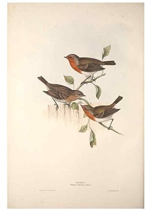 Bild des Verkufers fr Reproduccin/Reproduction 46777587021: The birds of Europe. London,Printed by R. and J.E. Taylor, pub. by the author,1837. zum Verkauf von EL BOLETIN