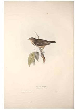 Bild des Verkufers fr Reproduccin/Reproduction 32901923428: The birds of Europe. London,Printed by R. and J.E. Taylor, pub. by the author,1837. zum Verkauf von EL BOLETIN