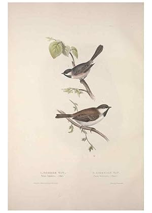 Bild des Verkufers fr Reproduccin/Reproduction 45862680135: The birds of Europe. London,Printed by R. and J.E. Taylor, pub. by the author,1837. zum Verkauf von EL BOLETIN