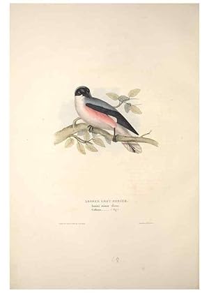 Bild des Verkufers fr Reproduccin/Reproduction 46724780532: The birds of Europe. London,Printed by R. and J.E. Taylor, pub. by the author,1837. zum Verkauf von EL BOLETIN