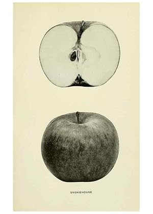 Immagine del venditore per Reproduccin/Reproduction 42460764741: The apples of New York,. Albany,J. B. Lyon Co., Printers,1905. venduto da EL BOLETIN