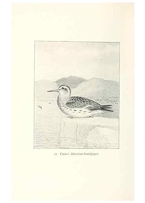 Image du vendeur pour Reproduccin/Reproduction 26479489627: North American shore birds;. New York :F.P. Harper,1895. mis en vente par EL BOLETIN