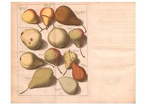 Bild des Verkufers fr Reproduccin/Reproduction 41378204435: Pomologie,. Amsterdam,M. Mage?rus,1771. zum Verkauf von EL BOLETIN
