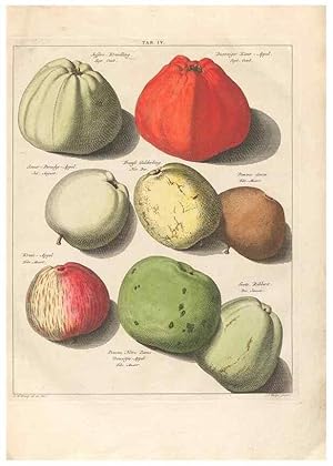 Bild des Verkufers fr Reproduccin/Reproduction 40472758840: Pomologia :. Te Leeuwarden, :By Abraham Ferwerda, .,1758. zum Verkauf von EL BOLETIN