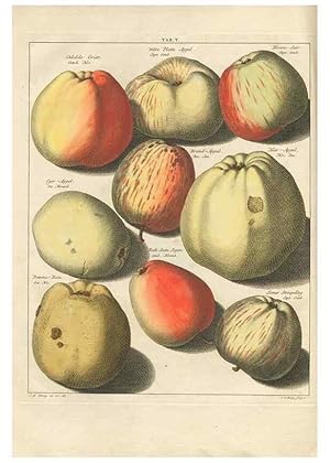 Image du vendeur pour Reproduccin/Reproduction 42233039922: Pomologia :. Te Leeuwarden, :By Abraham Ferwerda, .,1758. mis en vente par EL BOLETIN