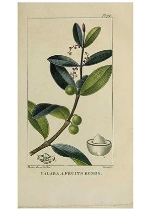 Image du vendeur pour Reproduccin/Reproduction 47117720452: Flore pittoresque et me?dicale des Antilles, ou, Histoire naturelle des plantes usuelles des colonies franc?aises, anglaises, espagnoles, et portugaises /. Paris :Ches lEditeur,1833. mis en vente par EL BOLETIN