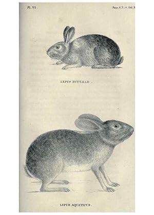 Image du vendeur pour Reproduccin/Reproduction 40193346493: Journal of the Academy of Natural Sciences of Philadelphia. Philadelphia :Academy of Natural Sciences of Philadelphia,1817-1918. mis en vente par EL BOLETIN