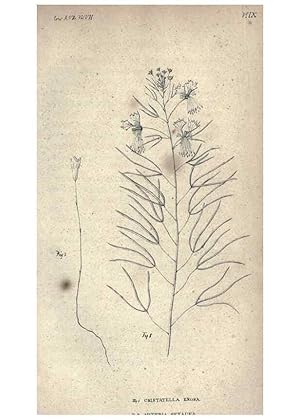 Image du vendeur pour Reproduccin/Reproduction 46434658294: Journal of the Academy of Natural Sciences of Philadelphia. Philadelphia :Academy of Natural Sciences of Philadelphia,1817-1918. mis en vente par EL BOLETIN