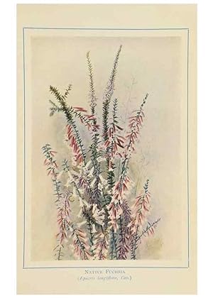 Seller image for Reproduccin/Reproduction 46151229435: Australian wild flowers /. Sydney :N.S. W. Bookstall Co.,[1912?]. for sale by EL BOLETIN