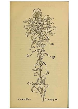 Seller image for Reproduccin/Reproduction 45938247665: Field book of western wild flowers /. New York :Putnam,1915. for sale by EL BOLETIN