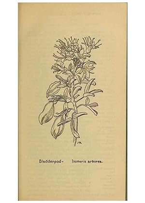Seller image for Reproduccin/Reproduction 39887963793: Field book of western wild flowers /. New York :Putnam,1915. for sale by EL BOLETIN