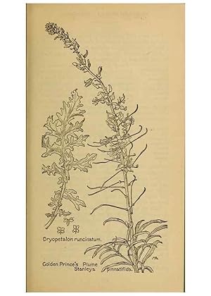Seller image for Reproduccin/Reproduction 46800822862: Field book of western wild flowers /. New York :Putnam,1915. for sale by EL BOLETIN