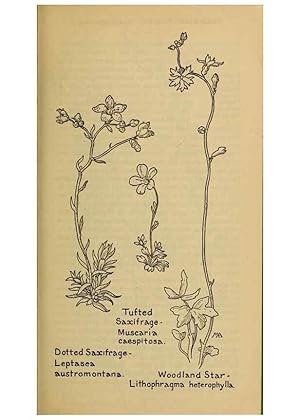 Seller image for Reproduccin/Reproduction 39887969583: Field book of western wild flowers /. New York :Putnam,1915. for sale by EL BOLETIN