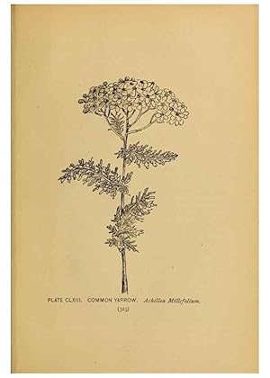 Immagine del venditore per Reproduccin/Reproduction 31911551027: A guide to the wild flowers. New York,F. A. Stokes[1899]. venduto da EL BOLETIN