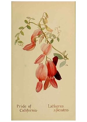 Seller image for Reproduccin/Reproduction 31911610467: Field book of western wild flowers /. New York :Putnam,1915. for sale by EL BOLETIN