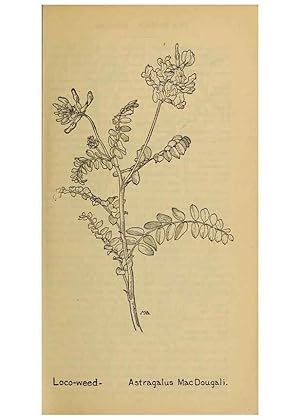 Seller image for Reproduccin/Reproduction 46852924901: Field book of western wild flowers /. New York :Putnam,1915. for sale by EL BOLETIN