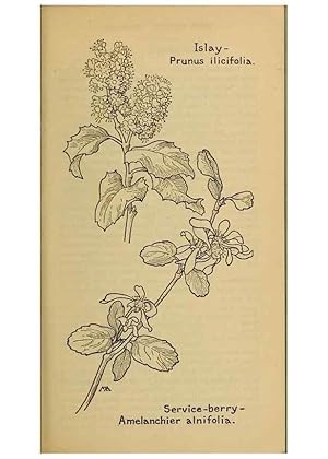 Seller image for Reproduccin/Reproduction 46127820034: Field book of western wild flowers /. New York :Putnam,1915. for sale by EL BOLETIN