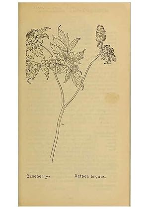 Seller image for Reproduccin/Reproduction 39887925433: Field book of western wild flowers /. New York :Putnam,1915. for sale by EL BOLETIN