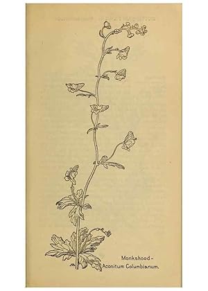 Seller image for Reproduccin/Reproduction 32977444908: Field book of western wild flowers /. New York :Putnam,1915. for sale by EL BOLETIN