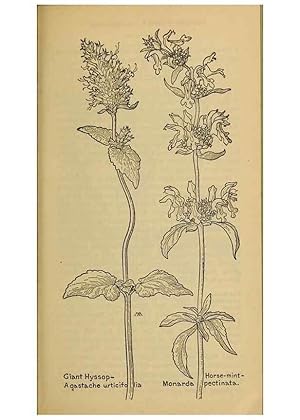 Seller image for Reproduccin/Reproduction 32977832488: Field book of western wild flowers /. New York :Putnam,1915. for sale by EL BOLETIN