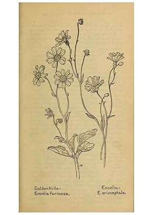 Seller image for Reproduccin/Reproduction 46128168474: Field book of western wild flowers /. New York :Putnam,1915. for sale by EL BOLETIN