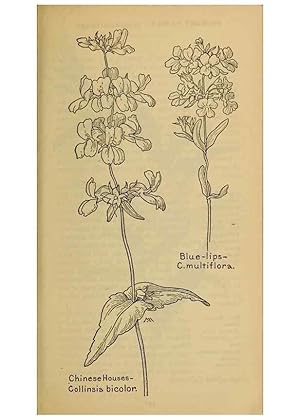 Seller image for Reproduccin/Reproduction 31911897627: Field book of western wild flowers /. New York :Putnam,1915. for sale by EL BOLETIN