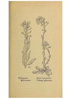 Seller image for Reproduccin/Reproduction 32977461348: Field book of western wild flowers /. New York :Putnam,1915. for sale by EL BOLETIN