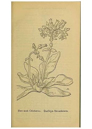 Seller image for Reproduccin/Reproduction 46800831382: Field book of western wild flowers /. New York :Putnam,1915. for sale by EL BOLETIN