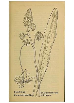 Seller image for Reproduccin/Reproduction 46852886321: Field book of western wild flowers /. New York :Putnam,1915. for sale by EL BOLETIN